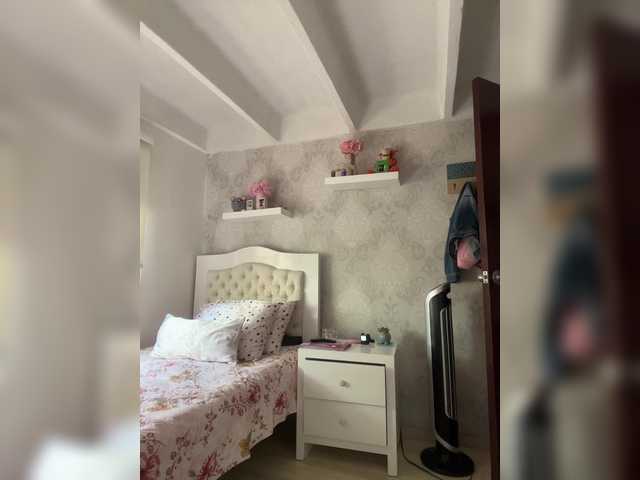 Captures d'écran de diffusion SallyeLeins