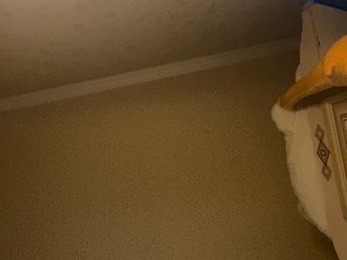 Chat vidéo érotique senxual-