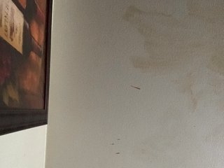 Chat vidéo érotique Sexylexie18