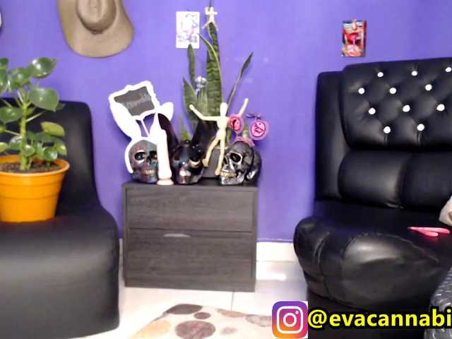 Captures d'écran de diffusion evacannabithc