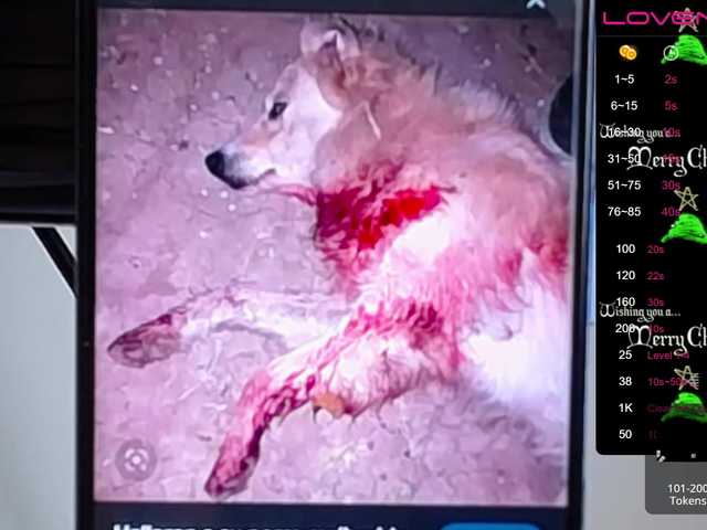 Captures d'écran de diffusion sofiaclaus