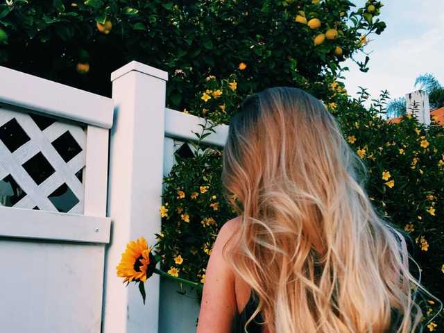 Photo du profil SoftGella
