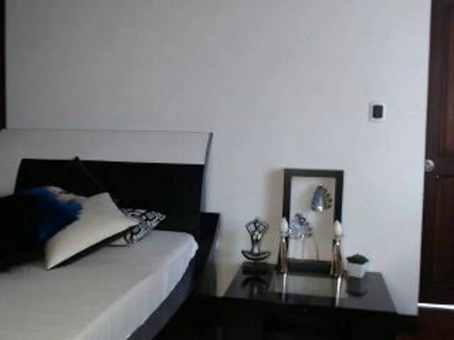 Captures d'écran de diffusion StaceyWood