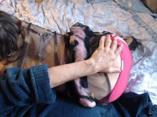 Captures d'écran de diffusion Masha_Ivanova