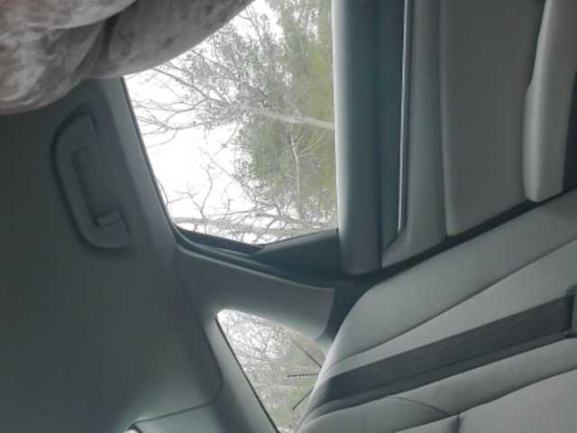 Captures d'écran de diffusion Sugarisme