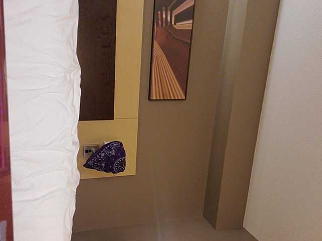 Captures d'écran de diffusion Sugarisme