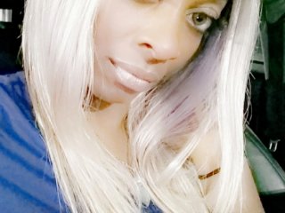 Photo du profil Syryn
