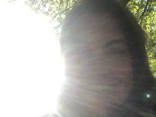 Photo du profil taylorlee