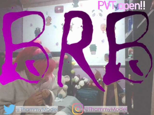 Captures d'écran de diffusion ThammyModell