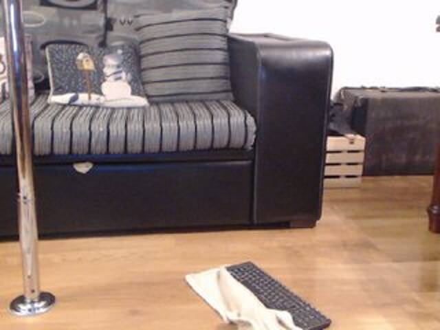 Captures d'écran de diffusion TiffanyTaylor