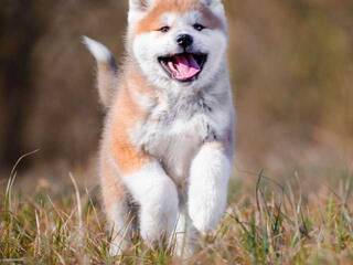 Chat vidéo érotique Val309a