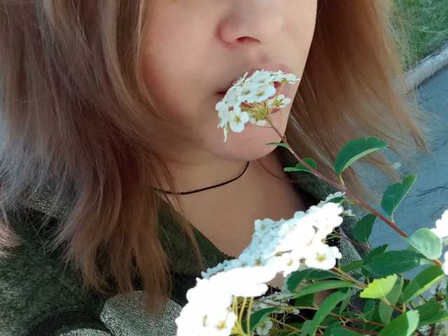 Photo du profil 1BECHA1