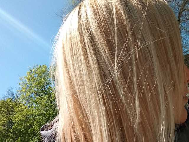 Photo du profil 1BECHA1