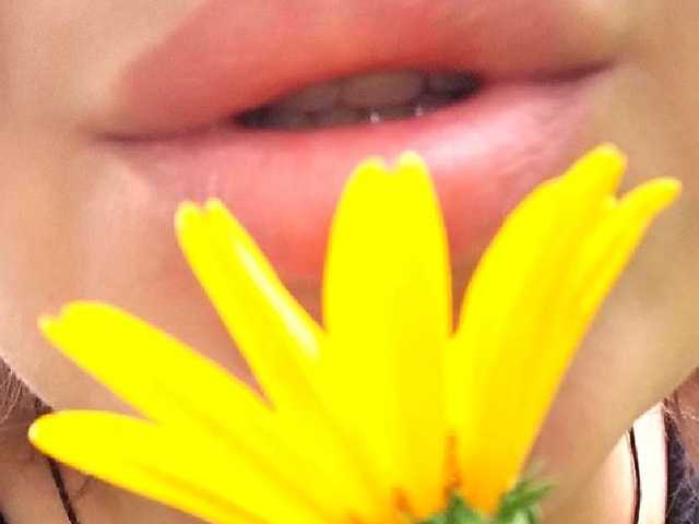 Photo du profil 1BECHA1