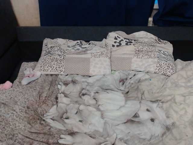 Captures d'écran de diffusion VikiMax69