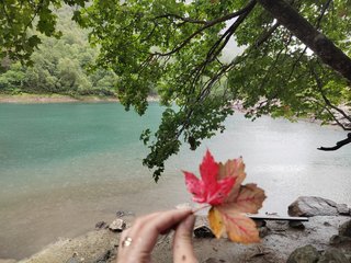 Chat vidéo érotique _GoodGirl_