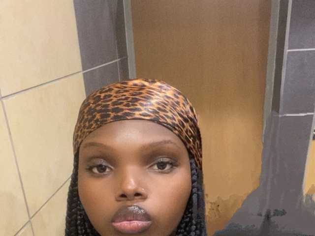 Photo du profil Wildcata