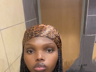 Chat vidéo érotique Wildcata