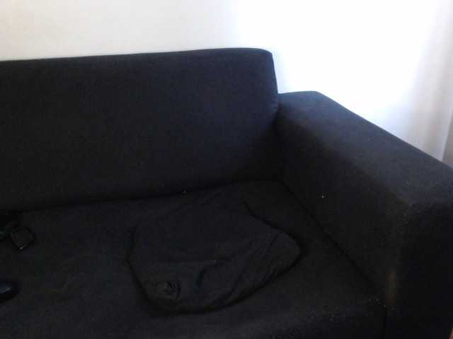 Captures d'écran de diffusion WildPetal963