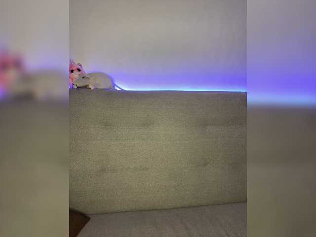 Captures d'écran de diffusion Wulka