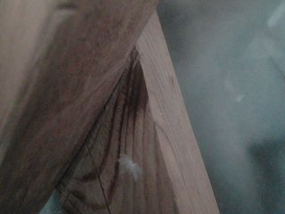 Chat vidéo érotique YasminaGeil